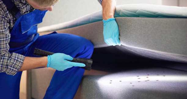 Best Rat Extermination Near Me  in Babbitt, MN